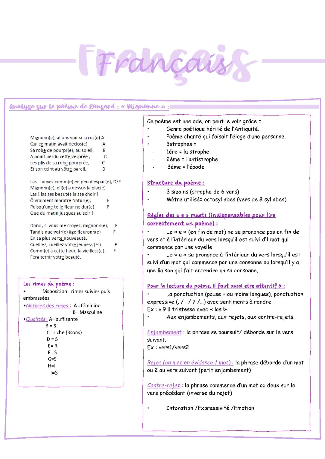 analyse texte de ronsard mignonne 