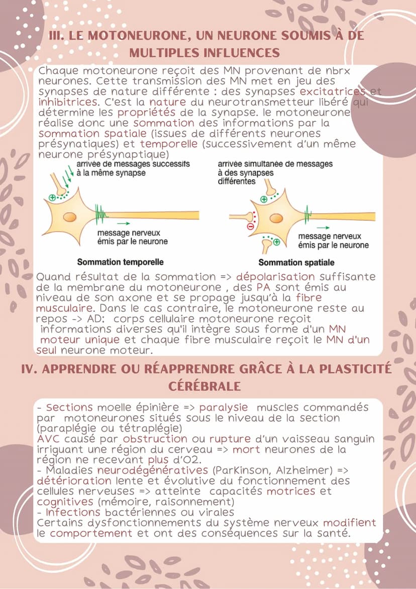 1. LA COMMANDE DU MOUVEMENT VOLONTAIRE
La commande des mouvements est assurée par le cortex des
hémisphères cérébraux. La commande corticale
