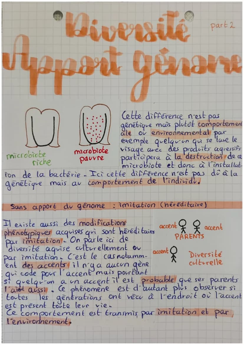 "Viversité
Support génarne
બચવના વ
Il était possible de diversifier les individus en modifiant I ADN.
mutation, modifiant les chromosomes lo