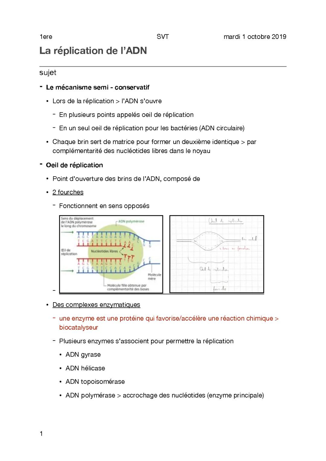 Cours 2.5 - Réplication ADN