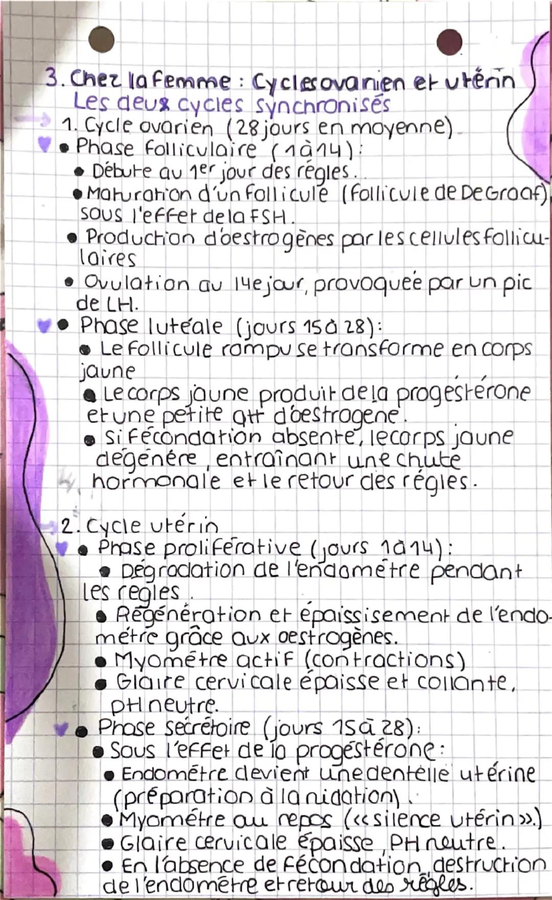 Chp 7 Regullottian della fonction
reproductrice
1. Complexe hypothalamo-hypophysaire.
Localisation et structure
Localisation: (Le complexe h
