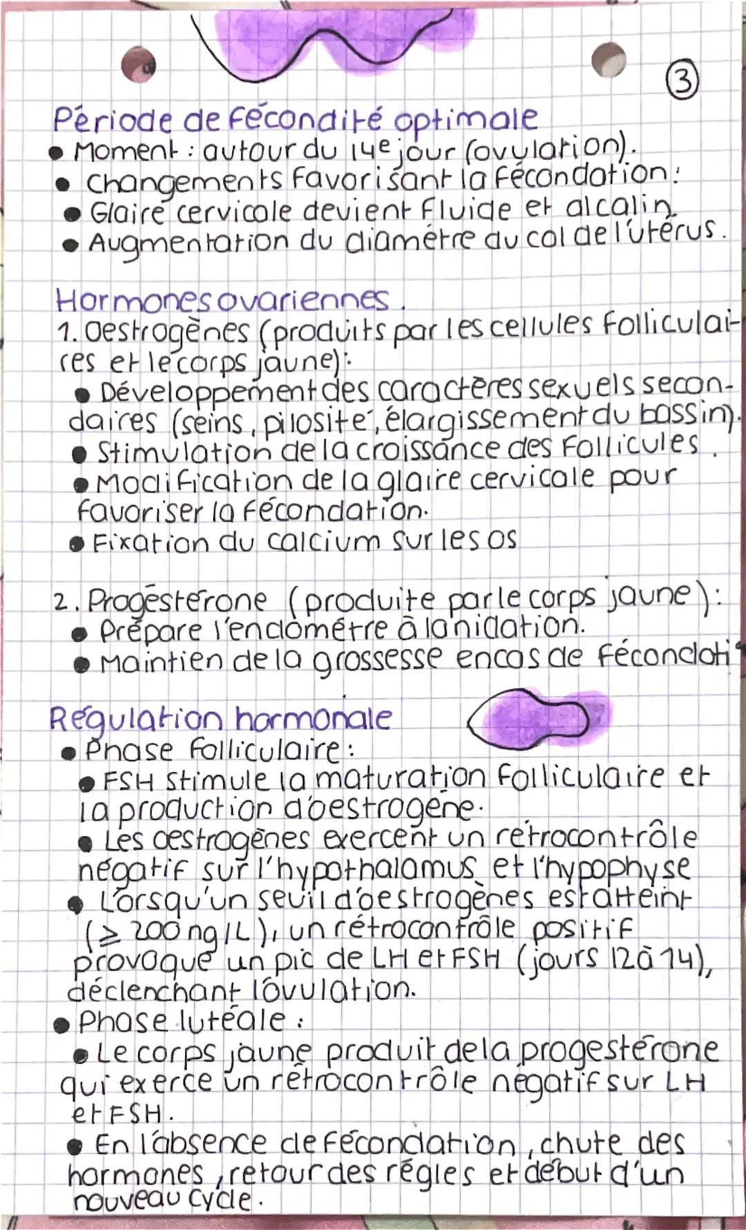 Chp 7 Regullottian della fonction
reproductrice
1. Complexe hypothalamo-hypophysaire.
Localisation et structure
Localisation: (Le complexe h