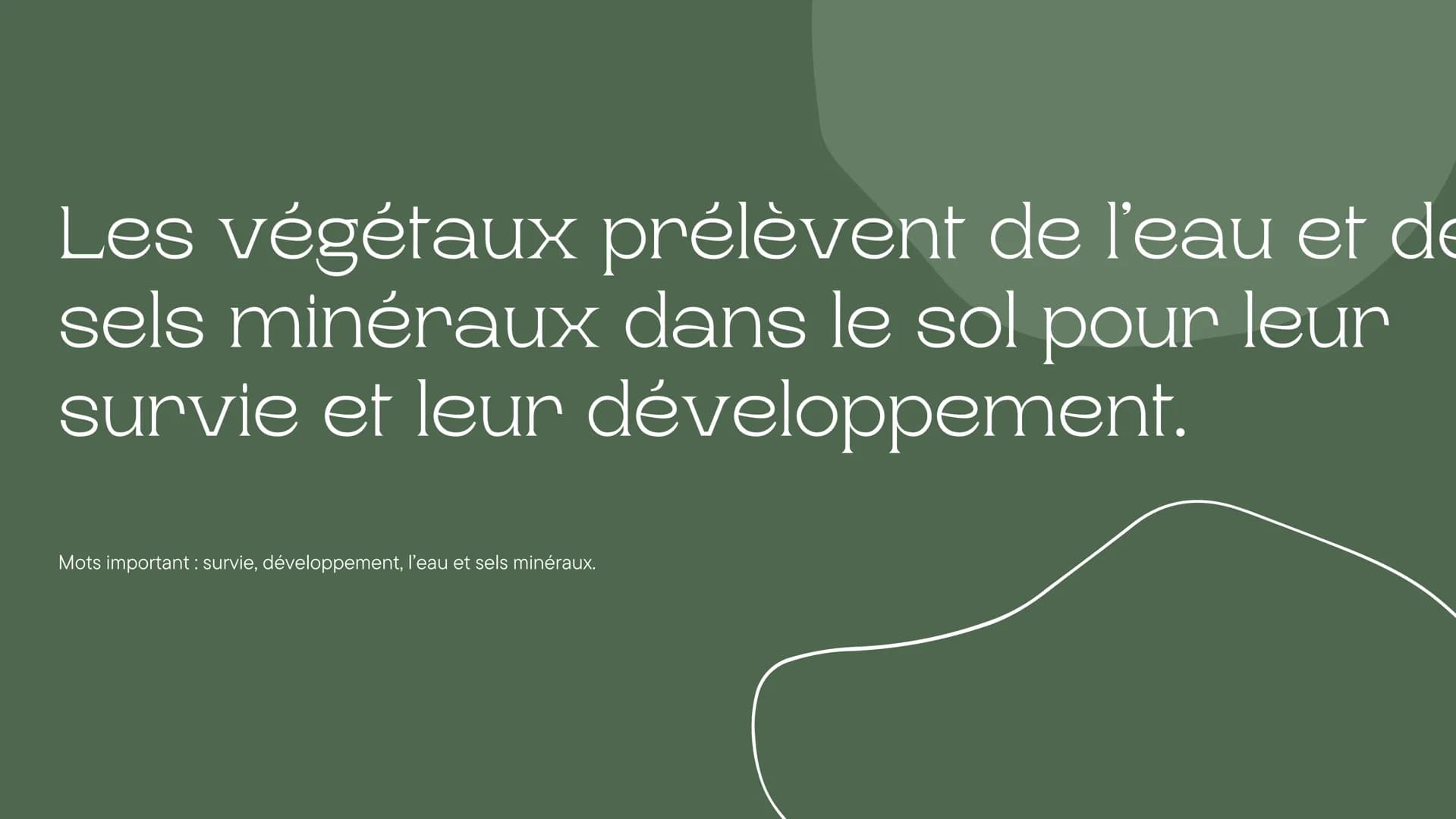 Leçon du
développement
des végétaux
Chapitre de la nutrition chez les végétaux 5ème Les végétaux prélèvent de l'eau et de
sels minéraux dans