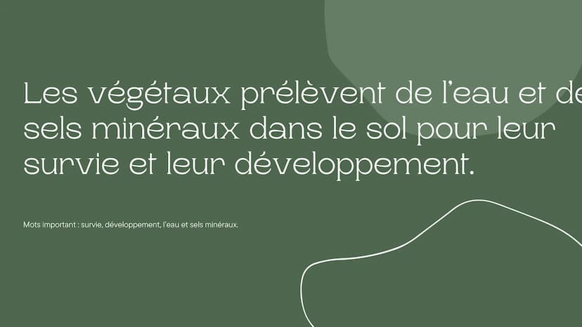 Leçon du
développement
des végétaux
Chapitre de la nutrition chez les végétaux 5ème Les végétaux prélèvent de l'eau et de
sels minéraux dans