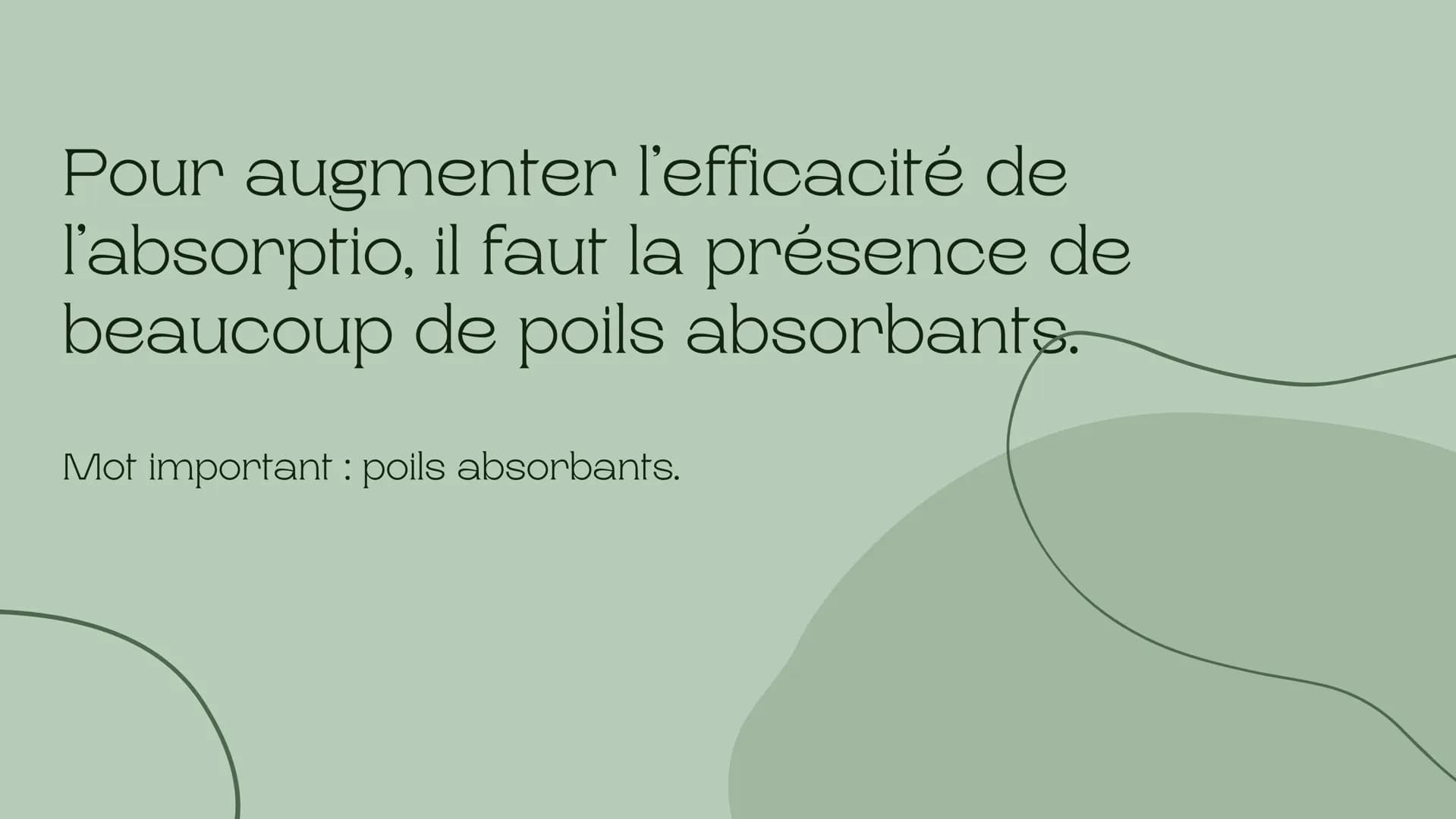 Leçon du
développement
des végétaux
Chapitre de la nutrition chez les végétaux 5ème Les végétaux prélèvent de l'eau et de
sels minéraux dans