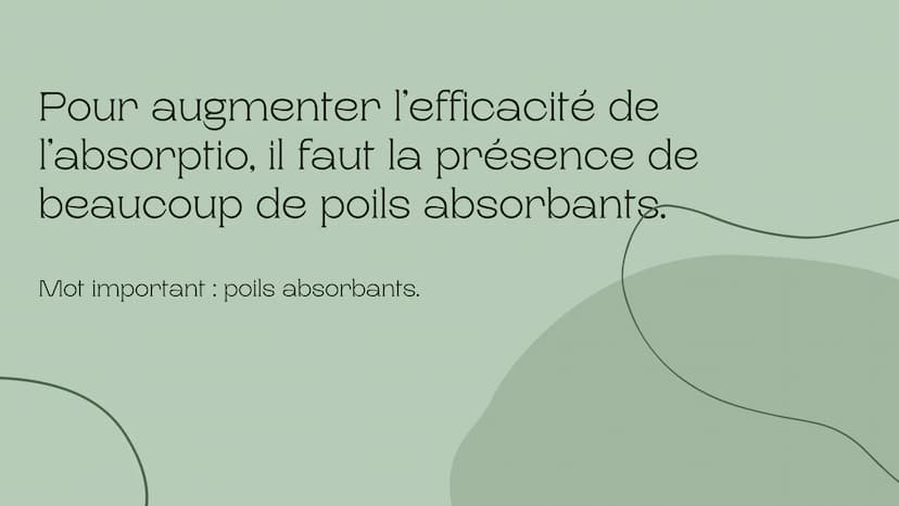 Leçon du
développement
des végétaux
Chapitre de la nutrition chez les végétaux 5ème Les végétaux prélèvent de l'eau et de
sels minéraux dans