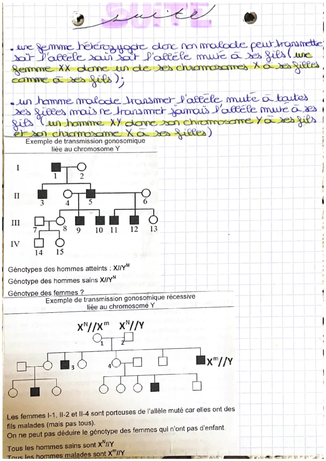 & spiologies.
heredite:
: transmission des caractères d'une
generation à l'autre.
پورے
promosomes: les humains en possedent 46 (nucleo.
fila