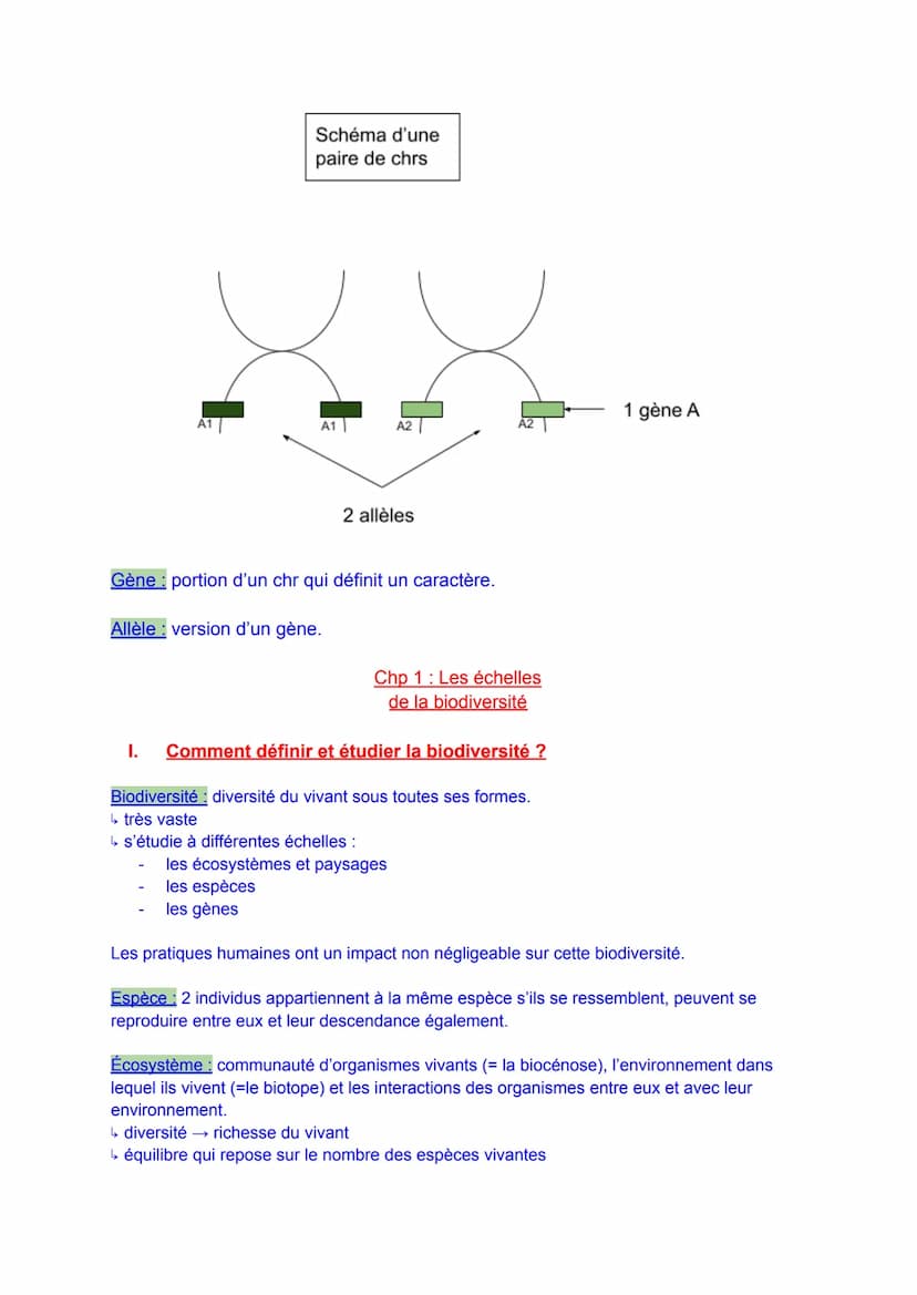 TH1: La Terre, la vie et
l'organisation du vivant
Schéma d'une
cellule buccale
humaine
Schéma d'une
cellule
chlorophyllienne
de feuille
mito