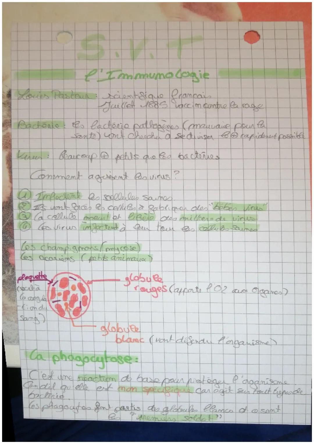 l'immunologie  