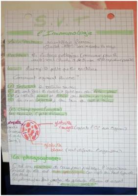 Know l'immunologie   thumbnail