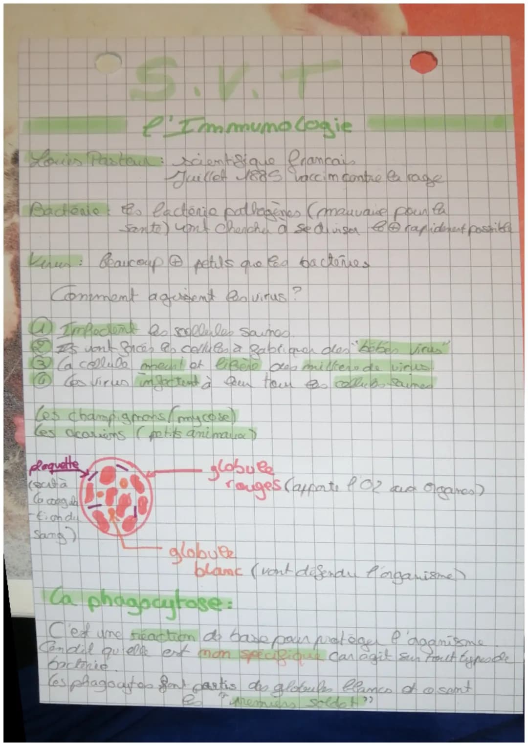 l'Immunologie
Louis Pastaur: scientifique francai
Bactérie. Es lactérie pathogènes (mauvaise pour
:
Juillet 1885 vaccin contre le rage
Virus