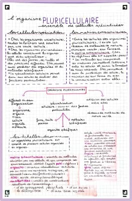 Know L’organisme pluricellulaire : ensemble de cellules spécialisées thumbnail