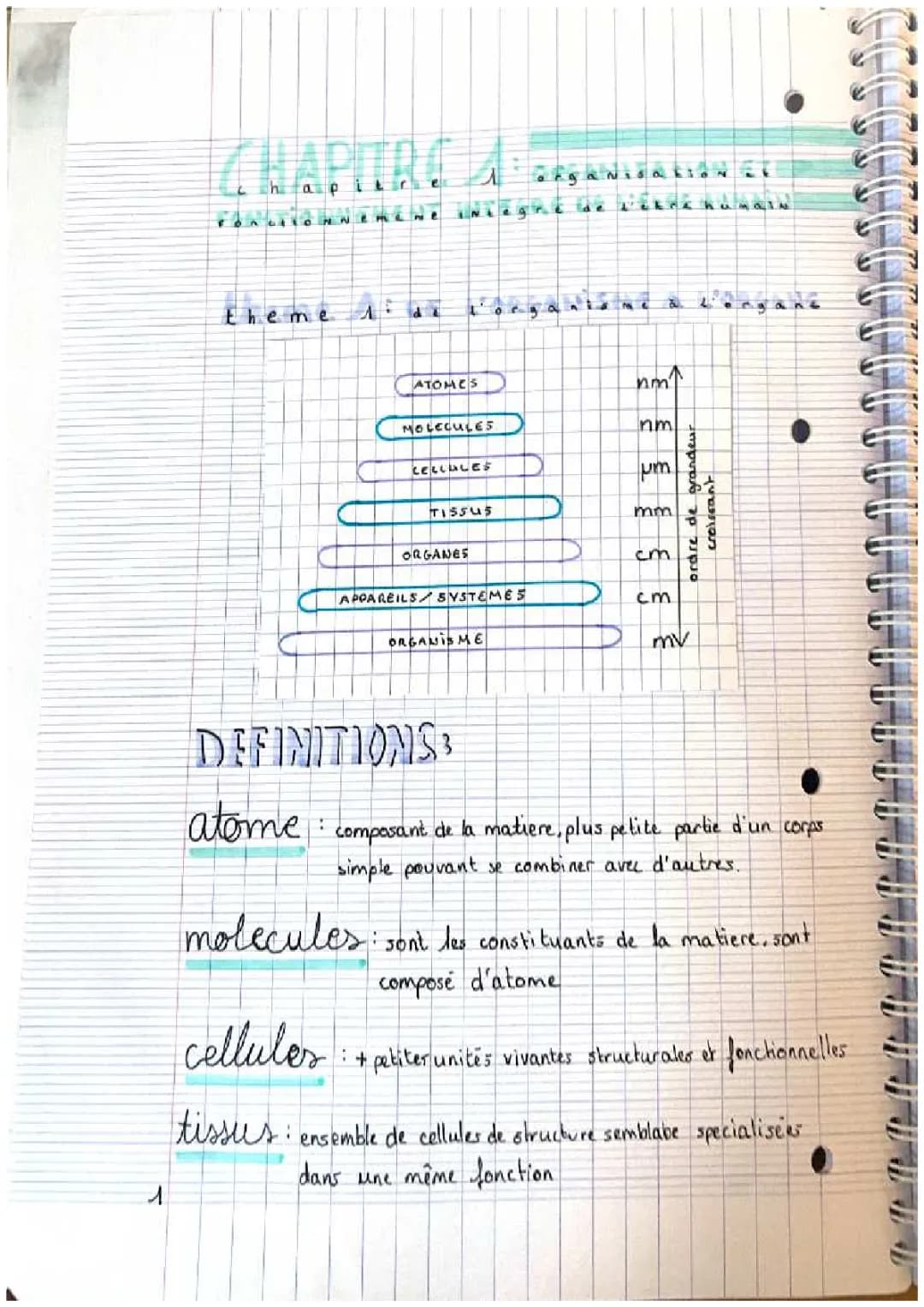 Schéma de l'organisation du corps humain: Appareils, Cavités, et Tissus