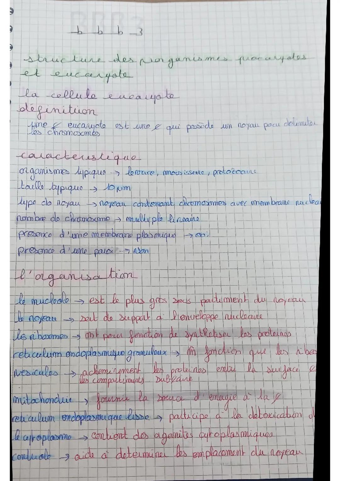Structure des micro-organismes procaryote et eucaryote