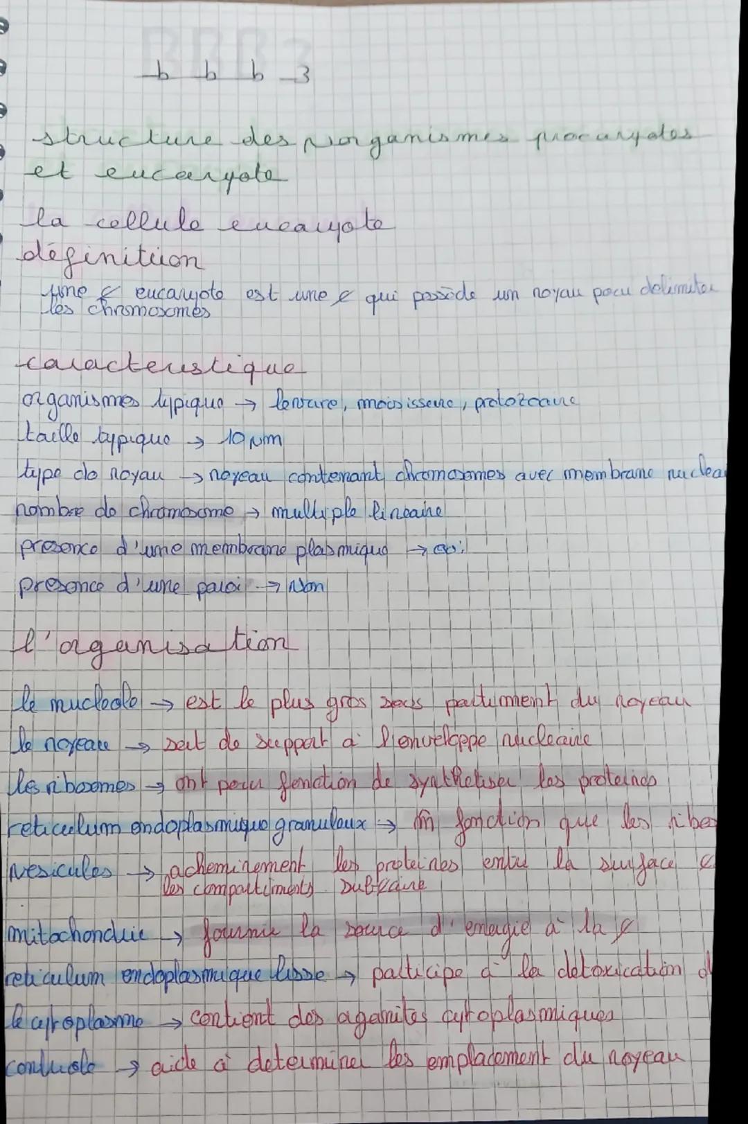 b
b
b3
structure des organismes procarpates.
et
encargote
la cellule encargote
définition
fine & excaryote est une & qui possède un noyau po