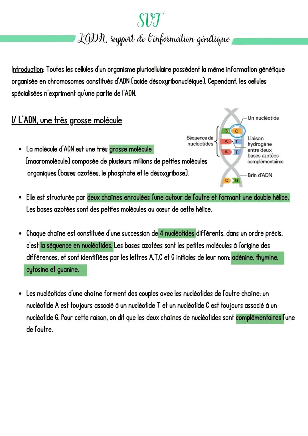 Découvre la spécialisation cellulaire et les gènes exprimés dans l'ADN