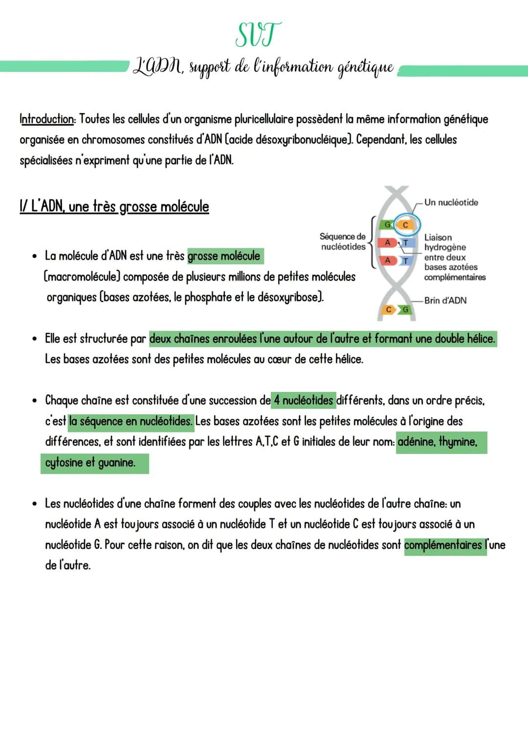 SVT
LADN, support de l'information génétique,
Introduction: Toutes les cellules d'un organisme pluricellulaire possèdent la même information