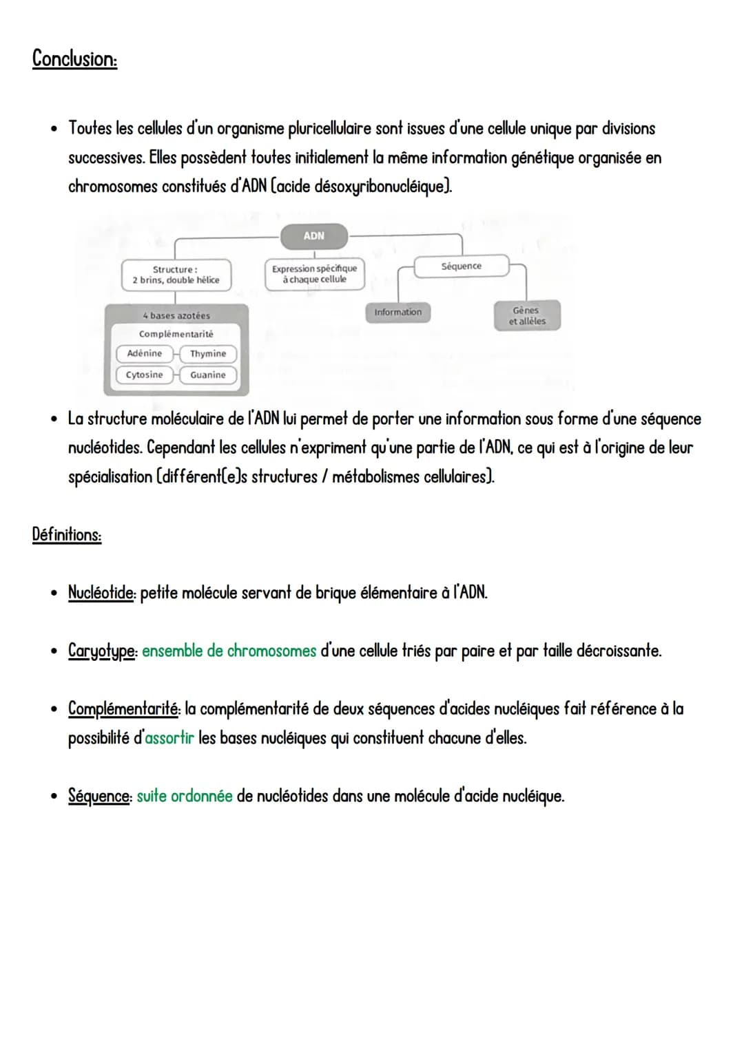 SVT
LADN, support de l'information génétique,
Introduction: Toutes les cellules d'un organisme pluricellulaire possèdent la même information