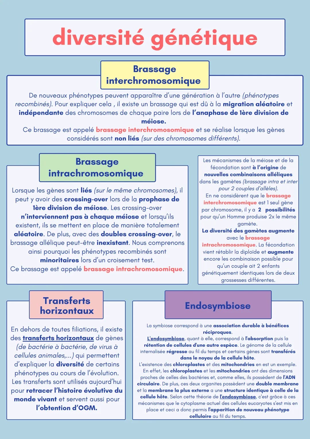 diversité génétique
Schéma simplifié de la mitose
La division cellulaire par mitose permet de
former 2 cellules génétiquement identiques à
p