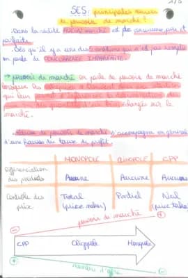 Know SES - les principales sources de pouvoir du marché  thumbnail
