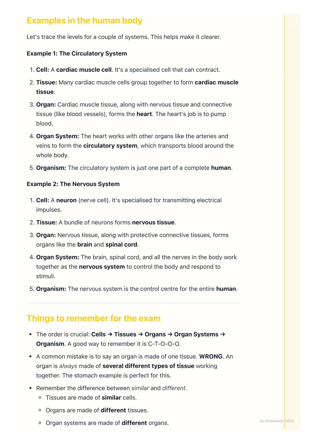 # Tissues, Organs, and Systems

## How our bodies are organised

All living things, including us, are highly organised. It's not just a rand