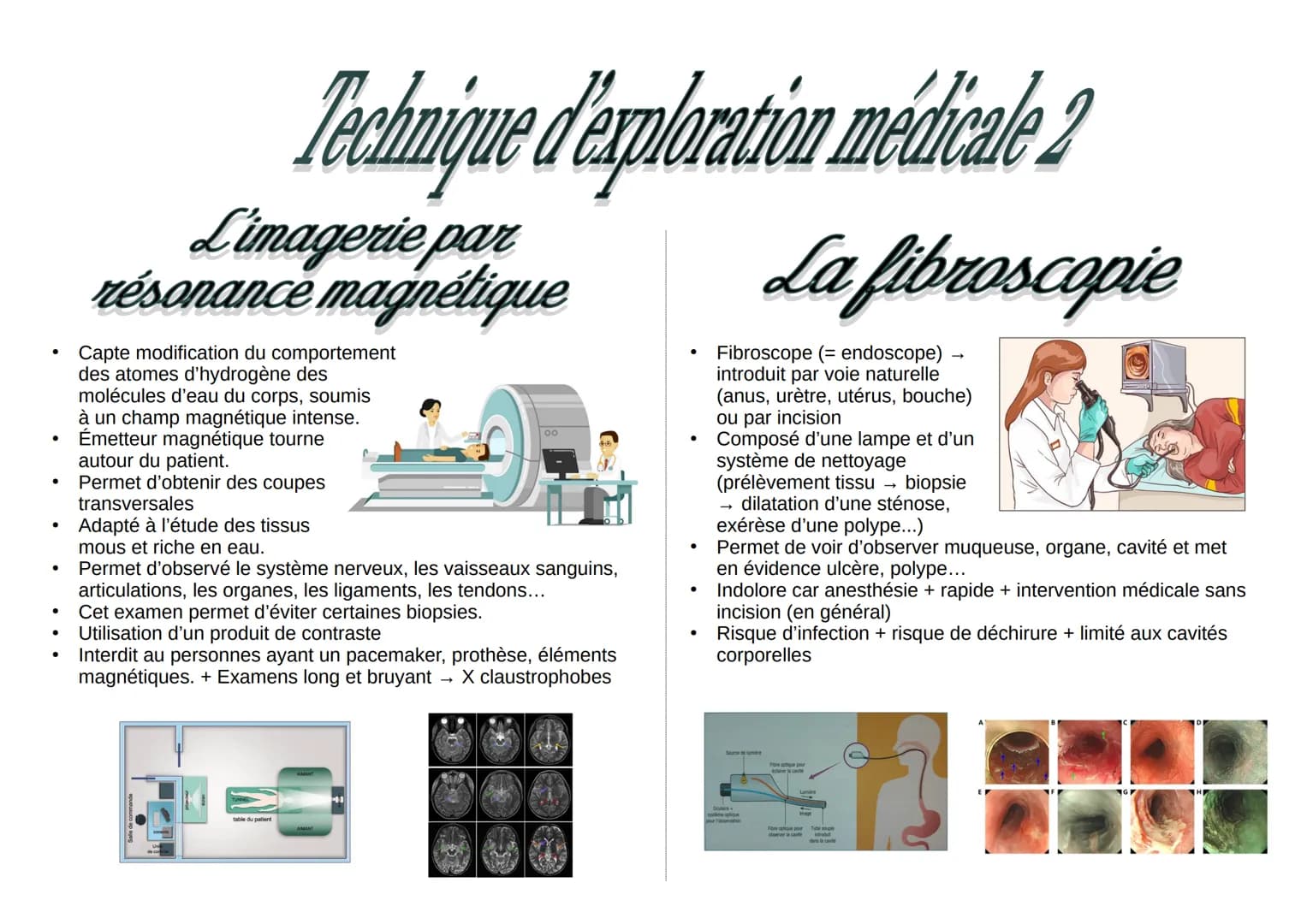 Technique d'exploration médicale 2
L'imagerie par
résonance magnétique
Capte modification du comportement
des atomes d'hydrogène des
molécul