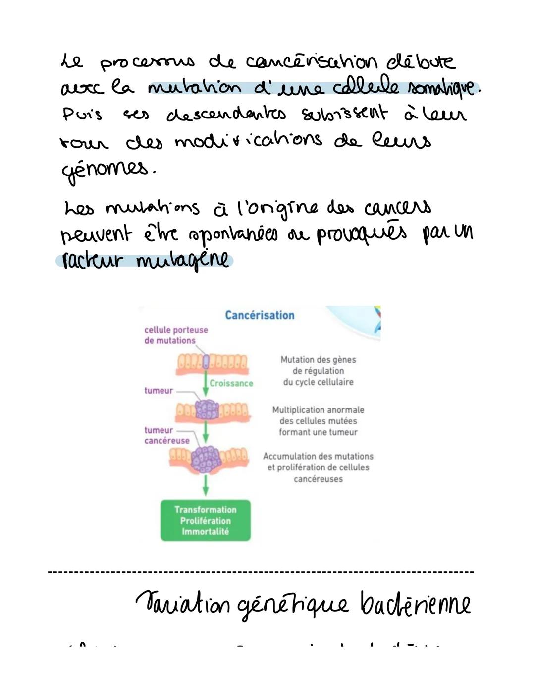 C5- Variations génétiques et santé

maladie multifacronelle

État de santé d'un individe

facteurs de n'sques
liés aux modes
fackurs.
geneti