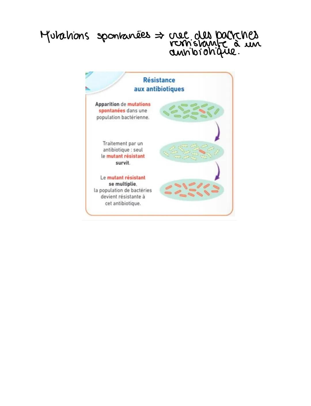 C5- Variations génétiques et santé

maladie multifacronelle

État de santé d'un individe

facteurs de n'sques
liés aux modes
fackurs.
geneti