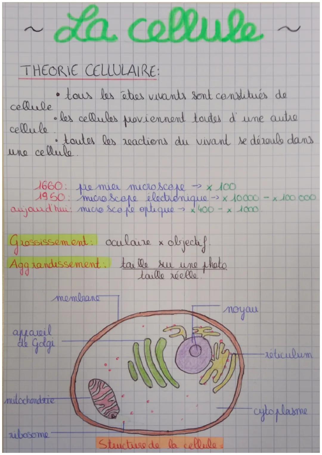 ~ La cellule ~

THEORIE CELLULAIRE:
- tous les êtres vivants sont constitués de cellule
- les cellules reviennent toutes d' une autre cellul