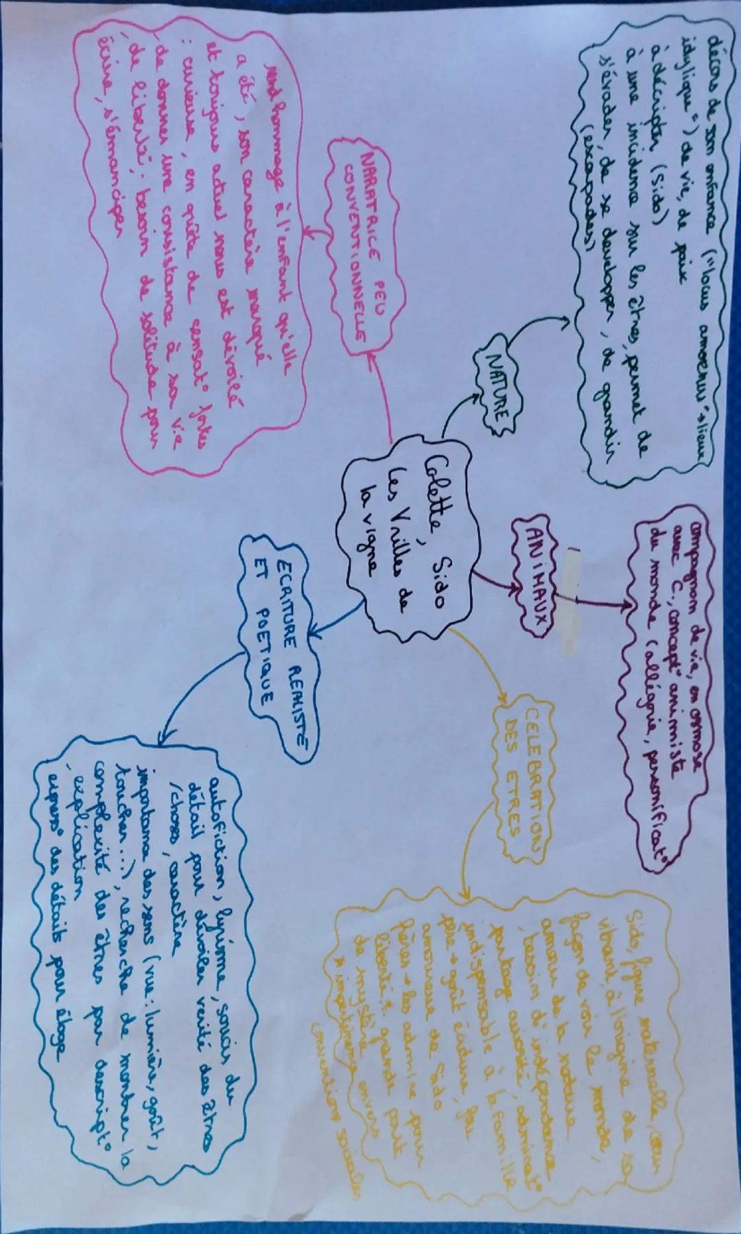 décors de som enfance ("locus amoenus lieux
idylique") de vie, de paix
à décripter (Sido)
à une incidence sur les êtres, permet de
s'évader,