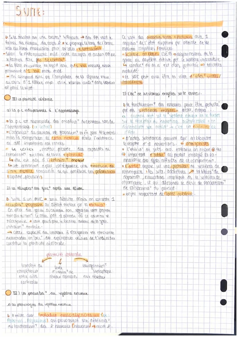 THS (H2 : 232 cerveau
de
OI) De la volonté au mouvem t
1) les e du cerveau
D Cerveau = organe le + important du système
neweux central (SNC=