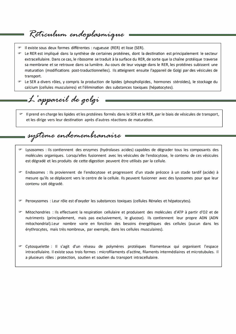 Cellule
Cellule
G
G
Introduction
Tous les organismes vivants sont constitués de cellules, les cellules étant la plus petite unité structurel