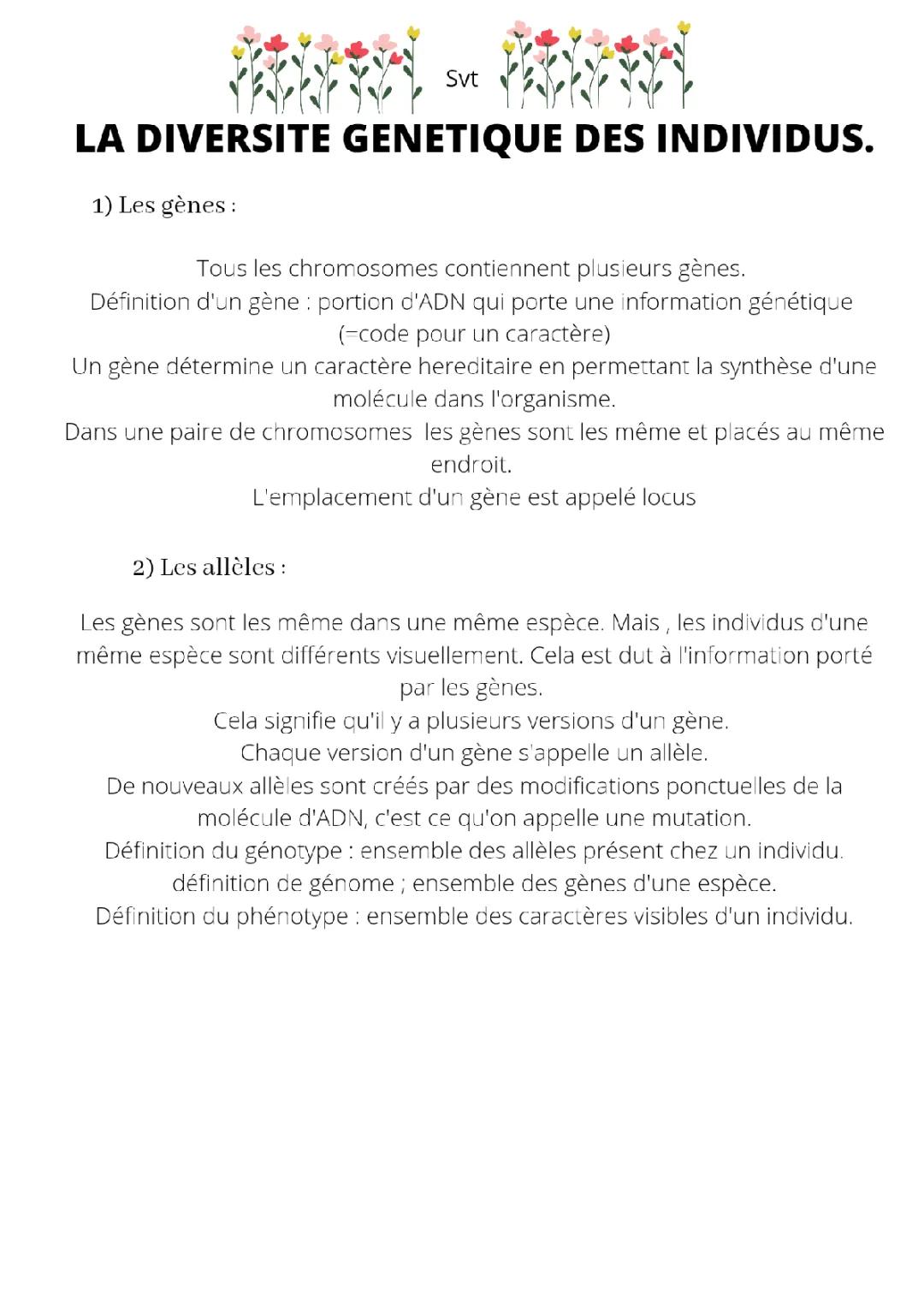 Comprendre la diversité génétique des individus en classe de 3ème