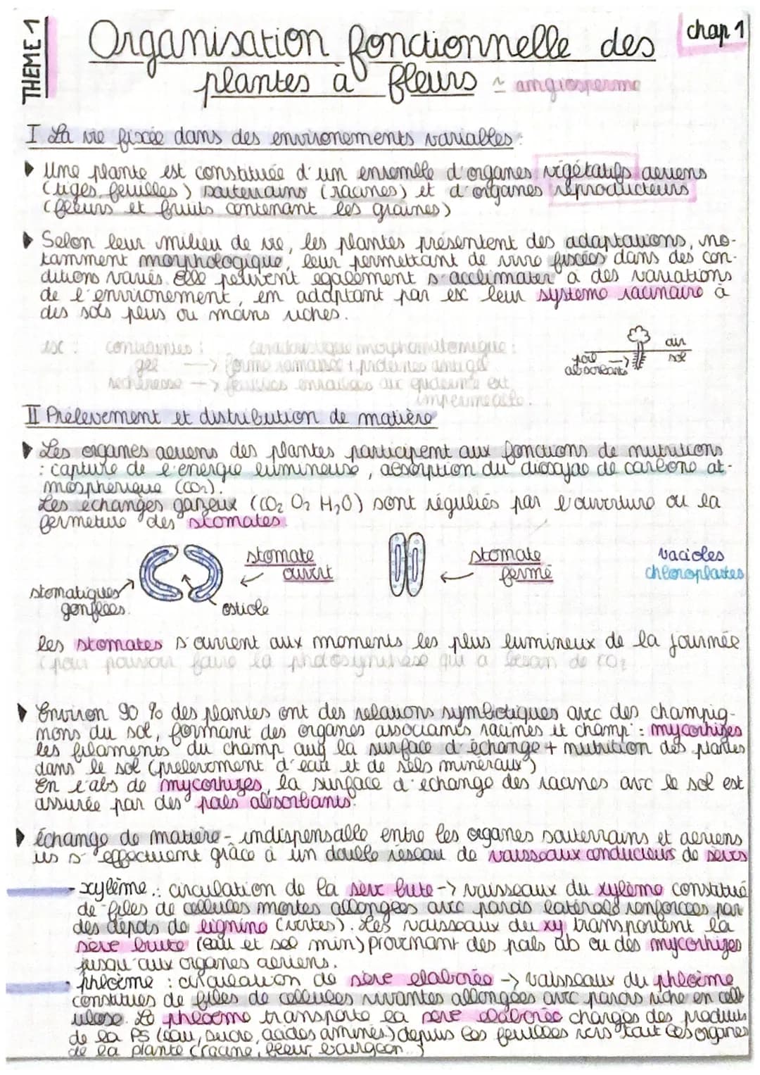 THEME 1
Organisation fonctionnelle des
plantes à fleurs ~ angiosperme
I La vie fixée dans des environements variables.
une plante est consti