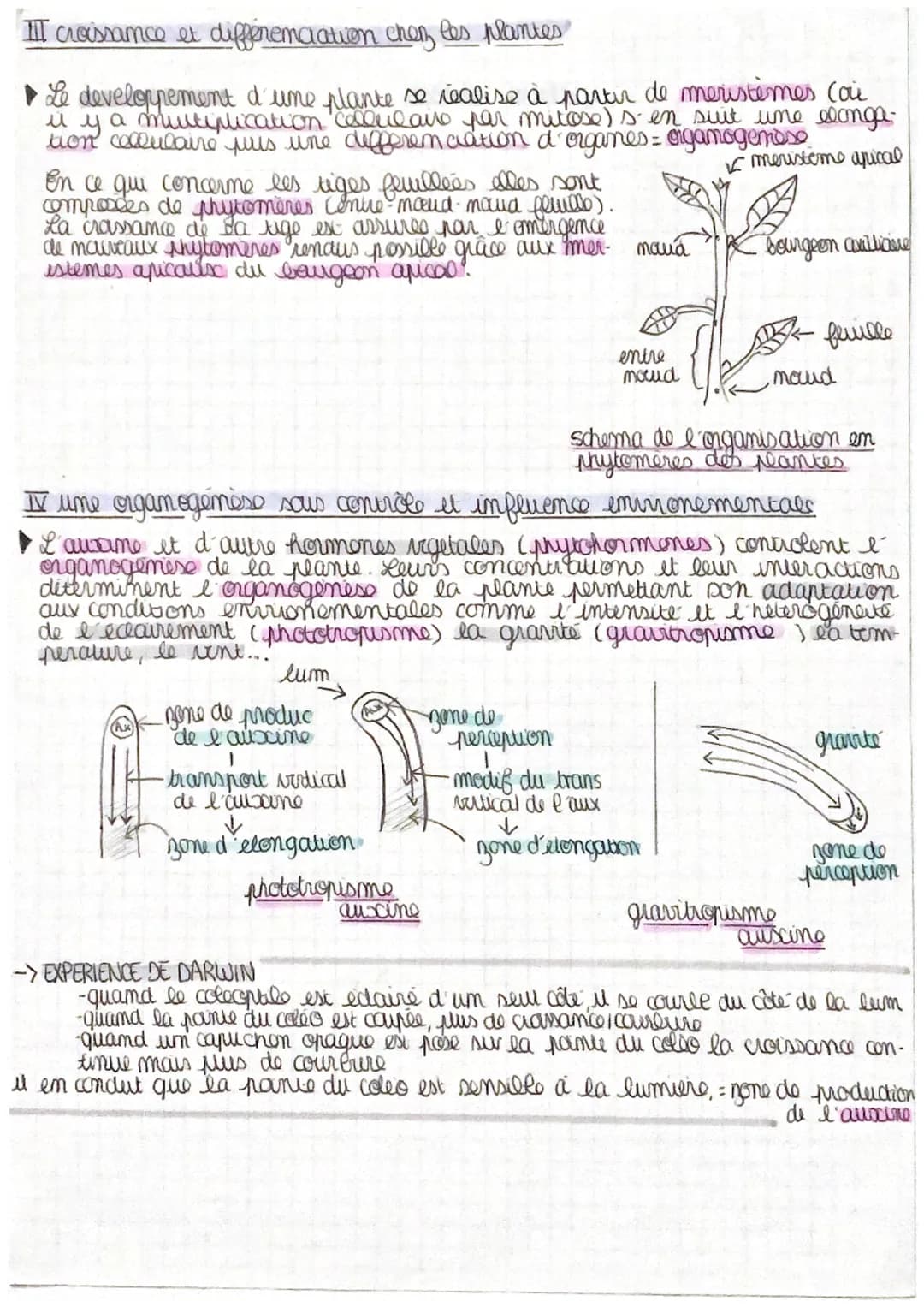 THEME 1
Organisation fonctionnelle des
plantes à fleurs ~ angiosperme
I La vie fixée dans des environements variables.
une plante est consti