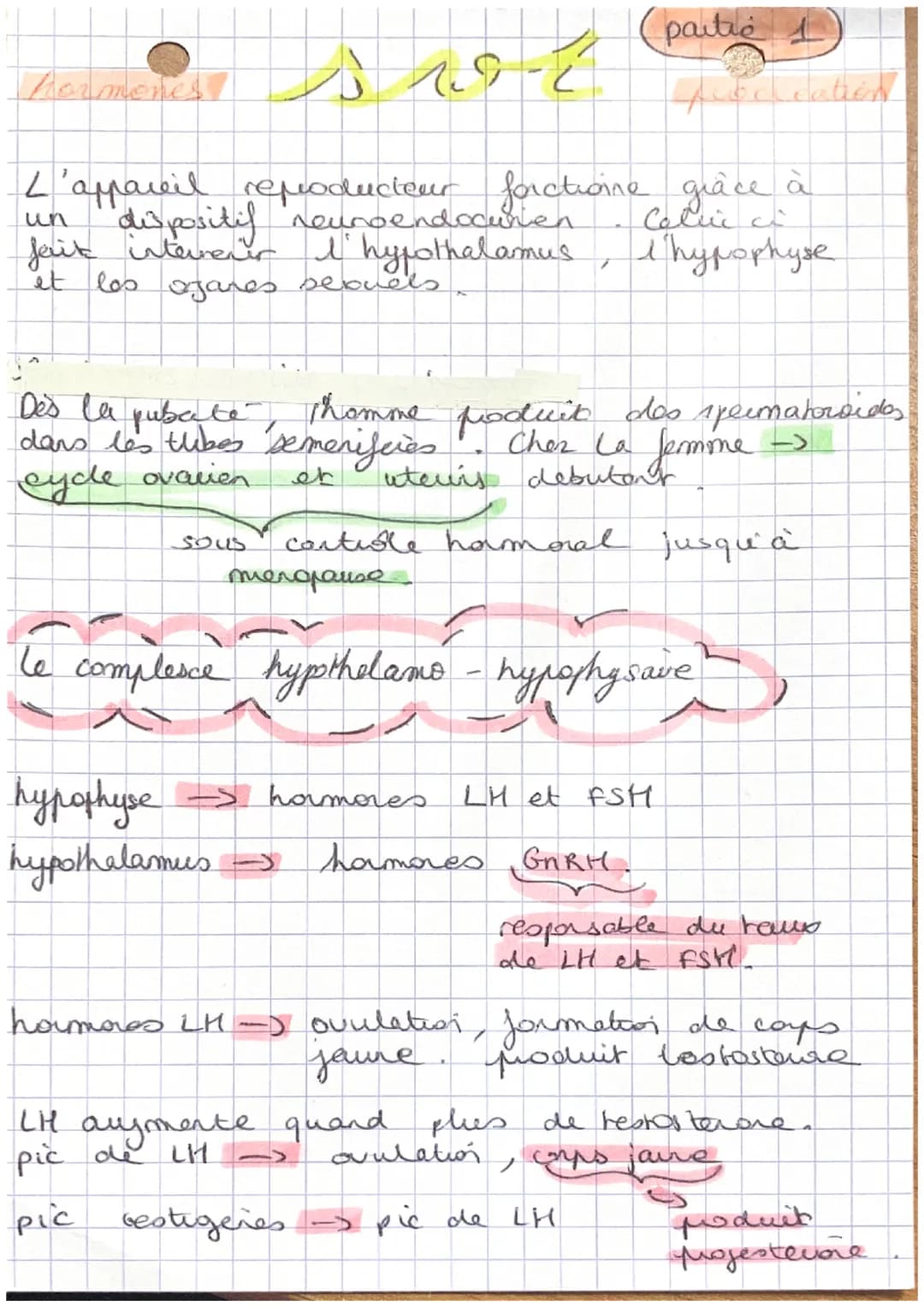 partie 1

Aucleation

L'appareil repoducteur forctione grâce à
havesitif Maduciendocufonctionne
un
ferit intervenir l'hypothalamus, I hypoph