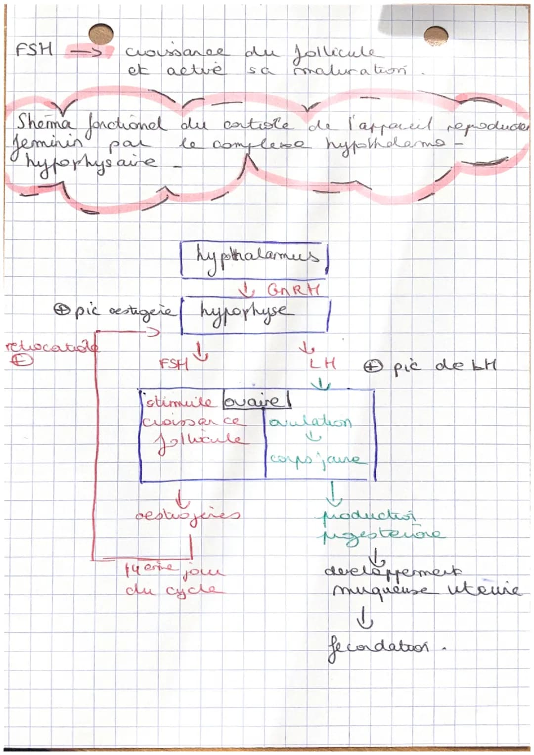 partie 1

Aucleation

L'appareil repoducteur forctione grâce à
havesitif Maduciendocufonctionne
un
ferit intervenir l'hypothalamus, I hypoph