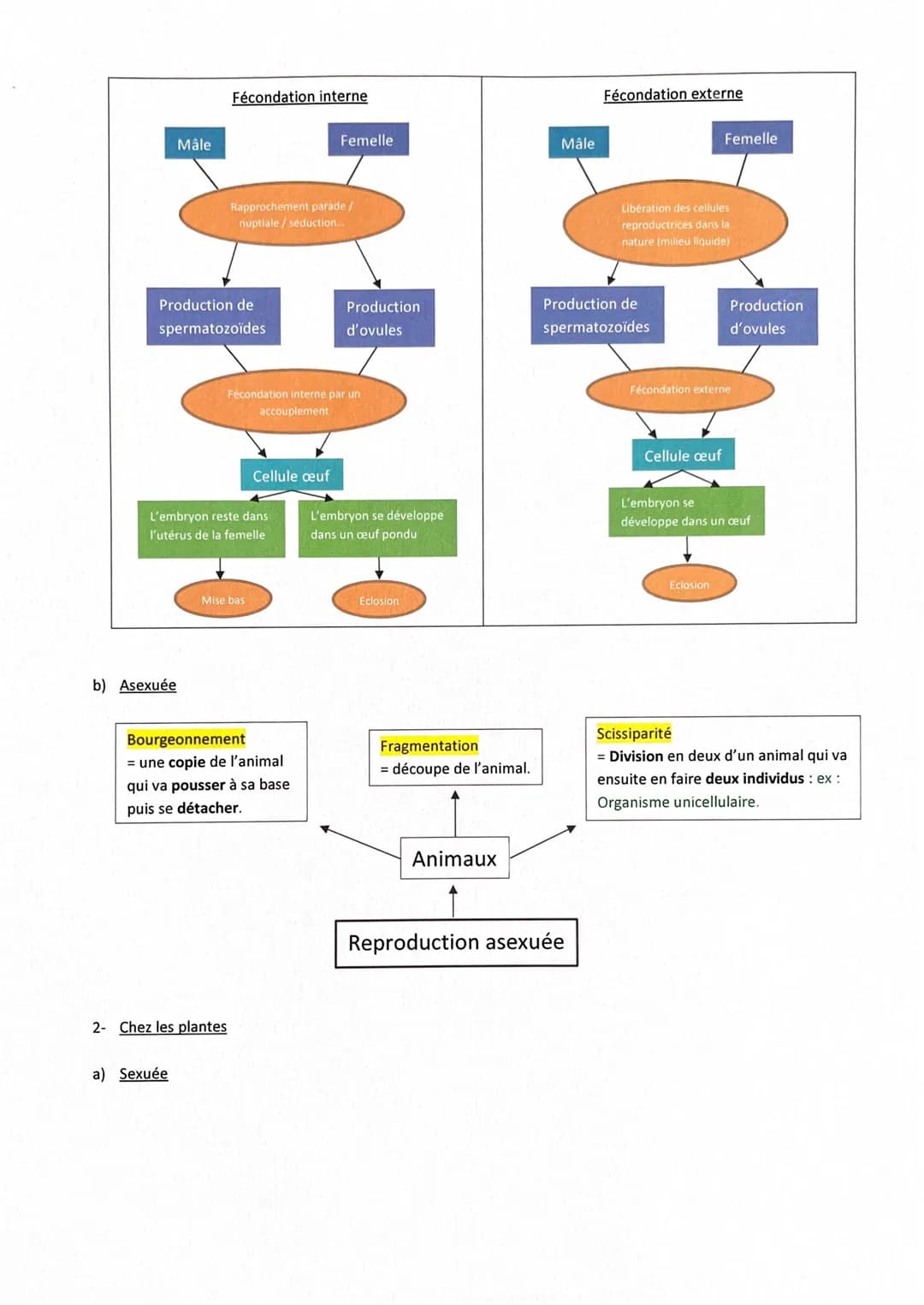 1-
||-
Rappels
✓
✓
Fiche de révisions Brevet: La reproduction sexuelle
Chez l'espèce humaine, deux hommes ou deux femmes ne peuvent pas enge