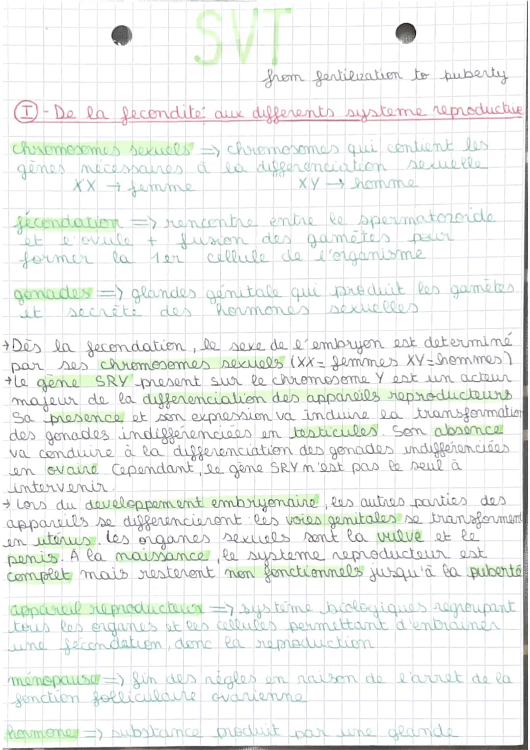 Fiche révision 