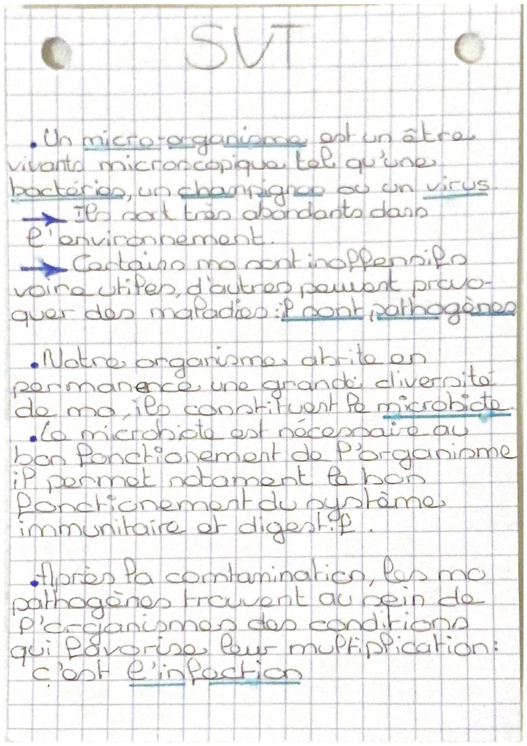 SUT

LT mémoires

tueuses.

• Rôles des phagocytes

Aldésion


bactérie
phagocytes

noyau

•Digestion

Penzyme

• ingestion


• Expulsion

d