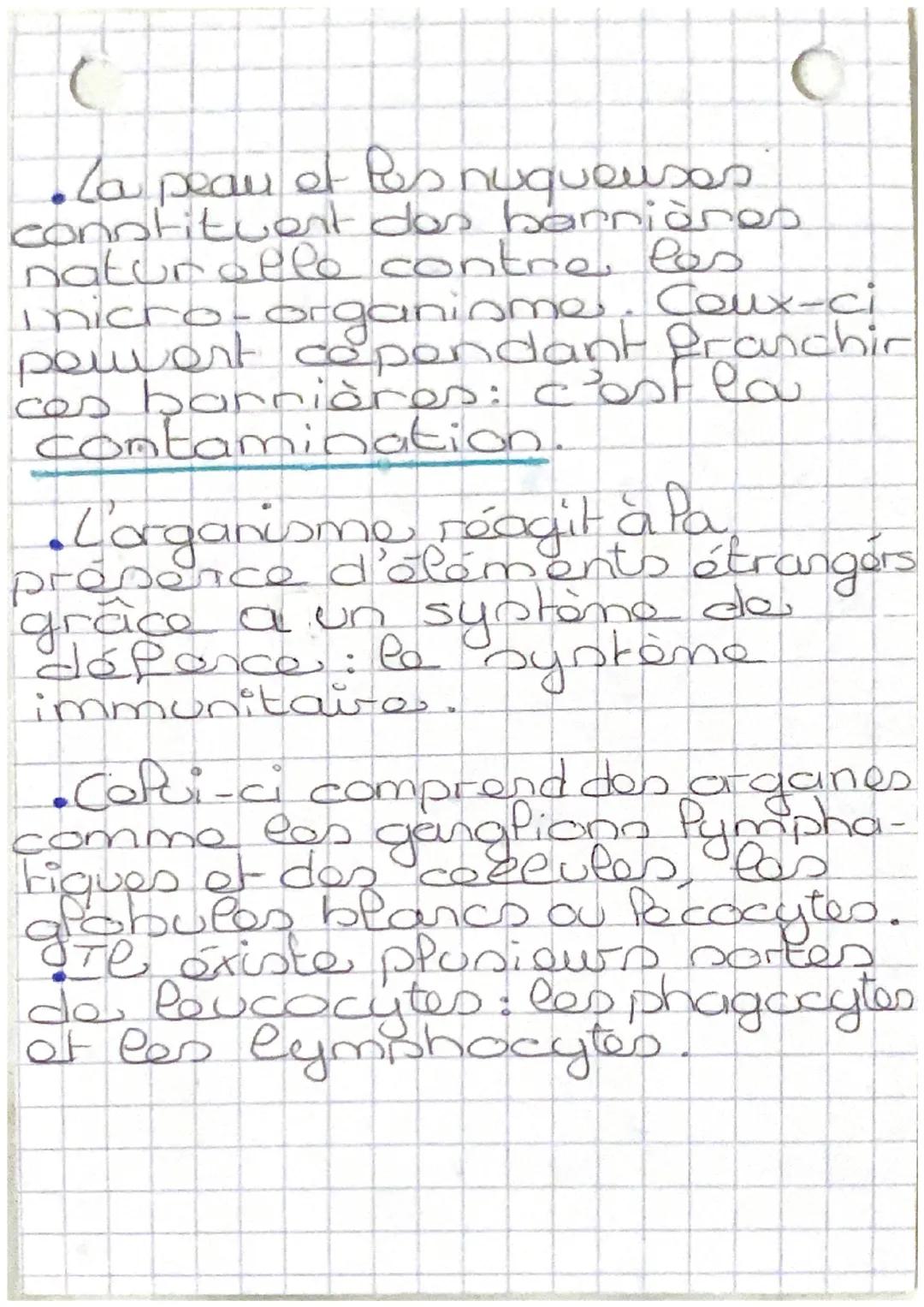 SUT

LT mémoires

tueuses.

• Rôles des phagocytes

Aldésion


bactérie
phagocytes

noyau

•Digestion

Penzyme

• ingestion


• Expulsion

d
