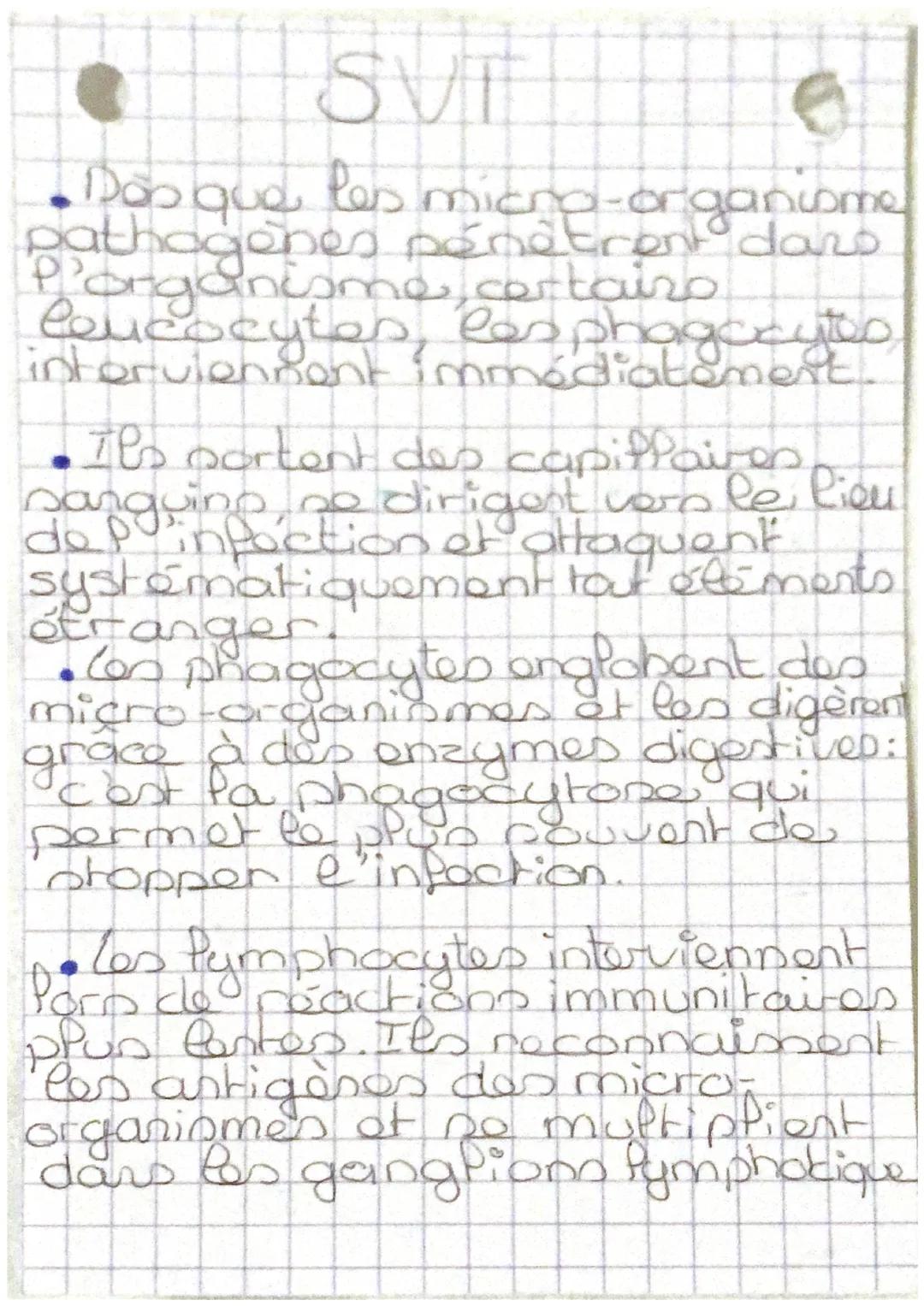 SUT

LT mémoires

tueuses.

• Rôles des phagocytes

Aldésion


bactérie
phagocytes

noyau

•Digestion

Penzyme

• ingestion


• Expulsion

d