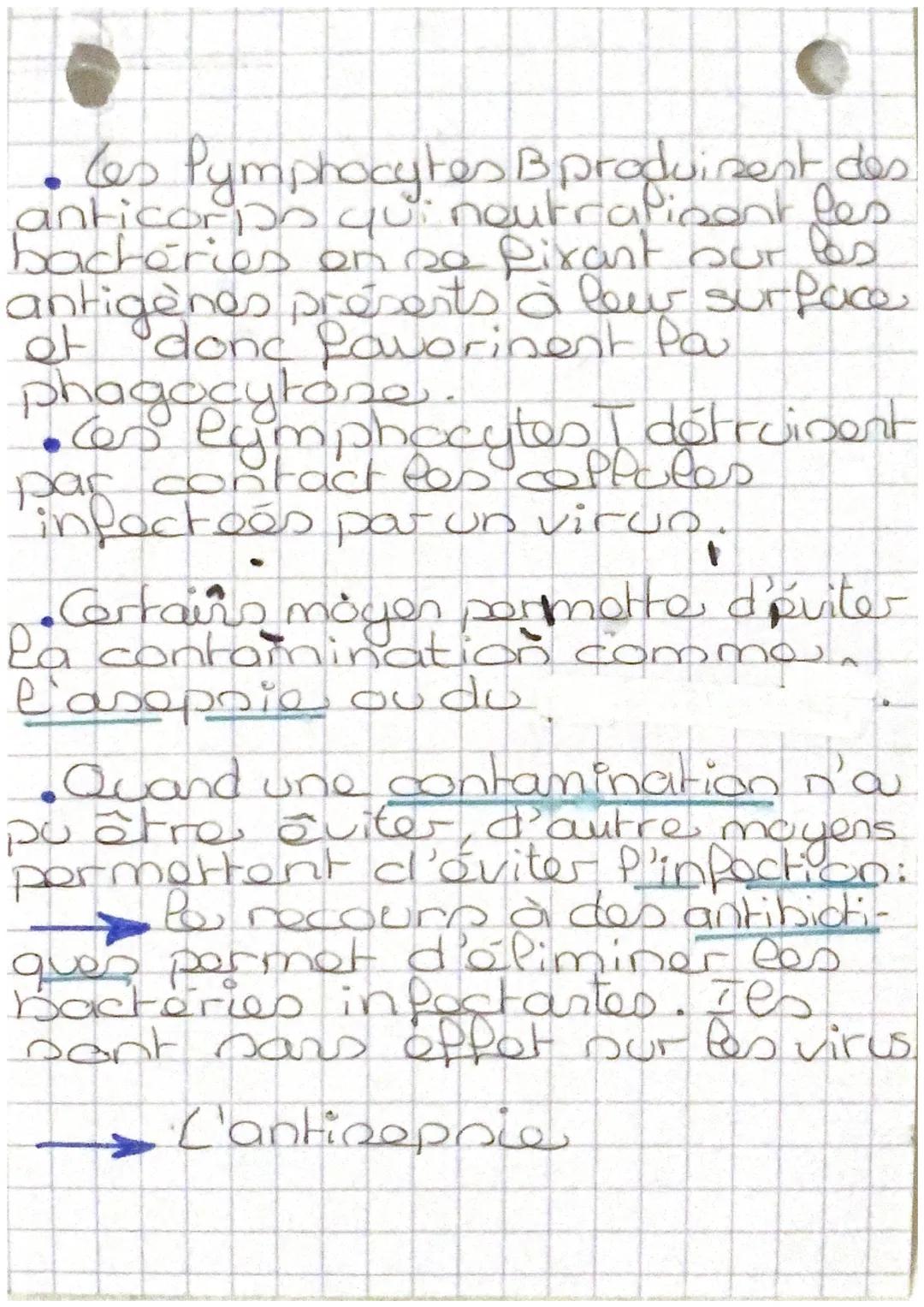 SUT

LT mémoires

tueuses.

• Rôles des phagocytes

Aldésion


bactérie
phagocytes

noyau

•Digestion

Penzyme

• ingestion


• Expulsion

d