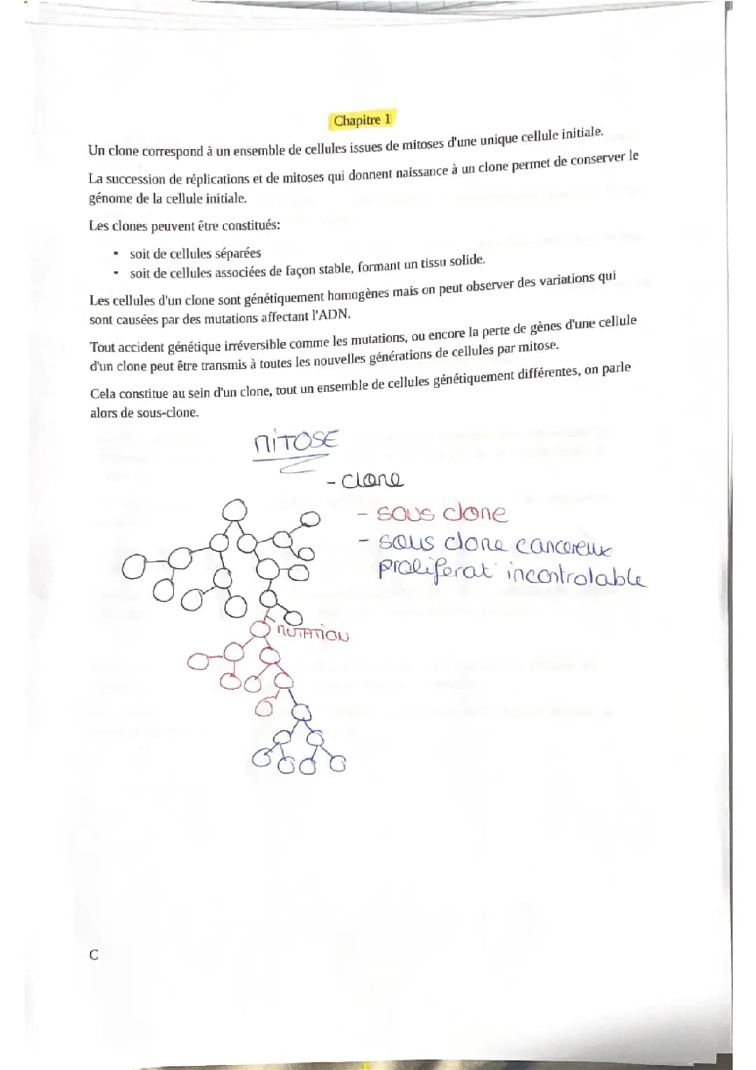 Tout programme pour le bac 