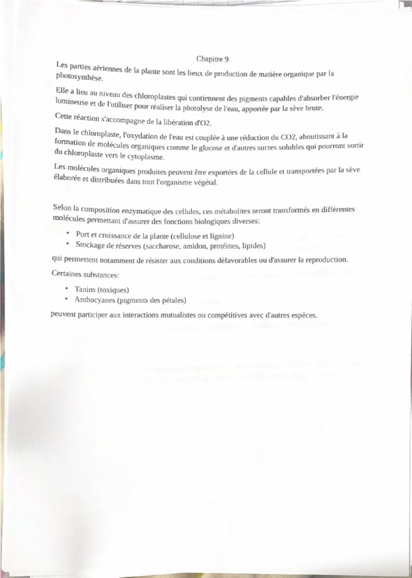 Chapitre 1
Un clone correspond à un ensemble de cellules issues de mitoses d'une unique cellule initiale.
La succession de réplications et d