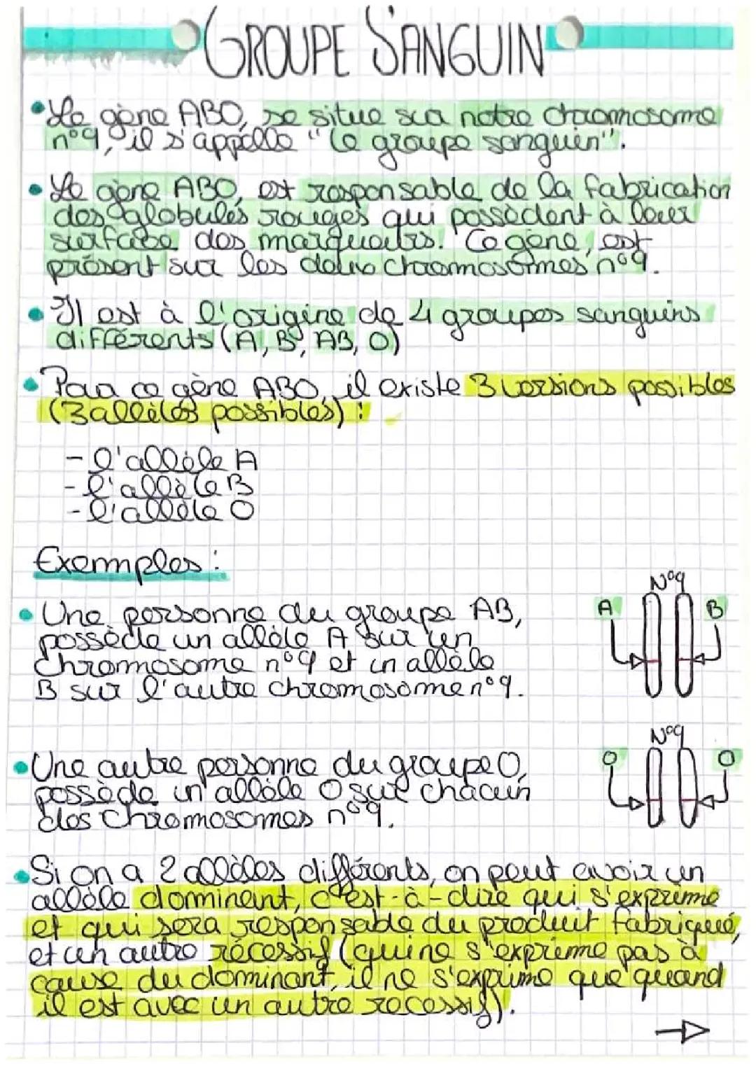Groupe Sanguin 