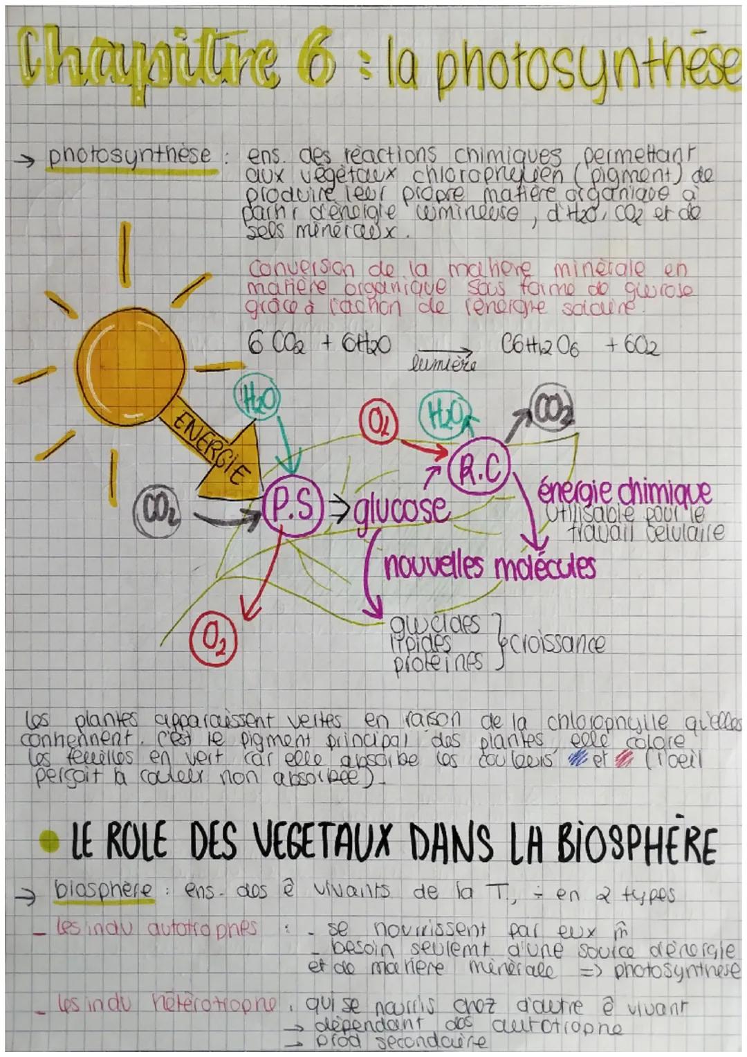 Chaypilline 6: la photosynthese
photosynthese
ENERGIE
CO₂
de
ens des reactions chimiques pe
aux vegetaux chlorophesień (
produire leur propr