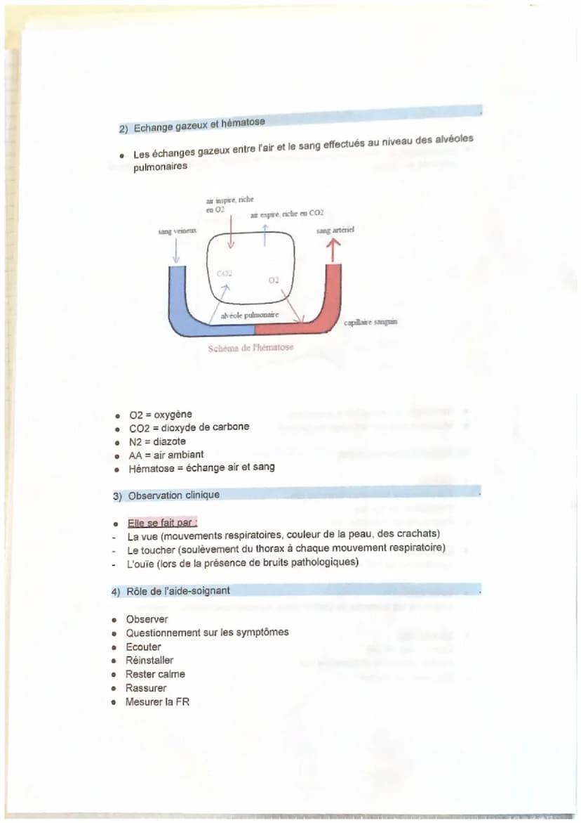 0
●
Les poumons fonction vitale qui permet de diffuser l'oxygène aux cellules et
organes du corps.
La poumon dok
●
III. L'appareil respirato