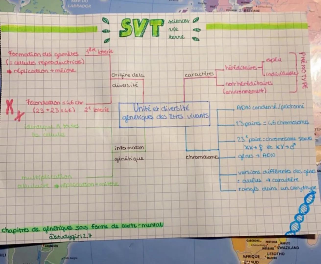 Formation des gamites
(= cellules reproductrics)
replication + méjose
X
X
MER DU
LABRADOR
HILI
Fecondation=46 Chr.
(23+23=46) 2² bplerie
mul
