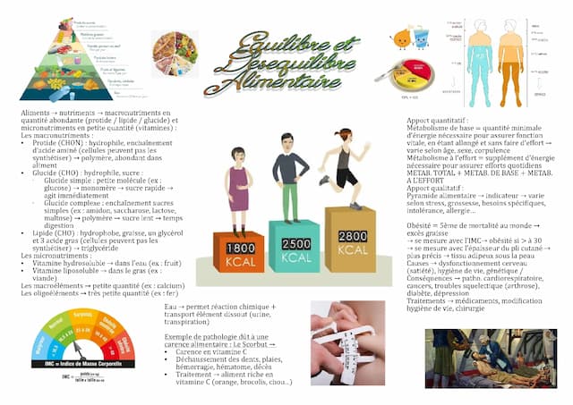 Know Fiche ST2S BPH : Équilibre et déséquilibre alimentaire  thumbnail
